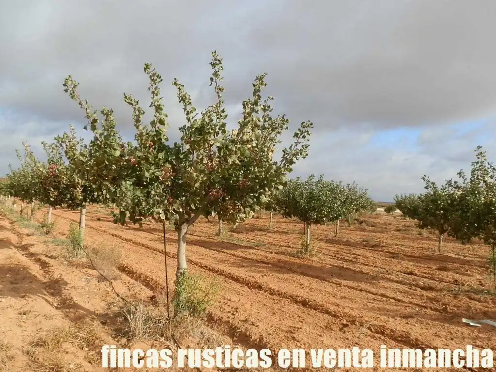 Terreni e lotti in vendita a Las Mesas, imagen 13