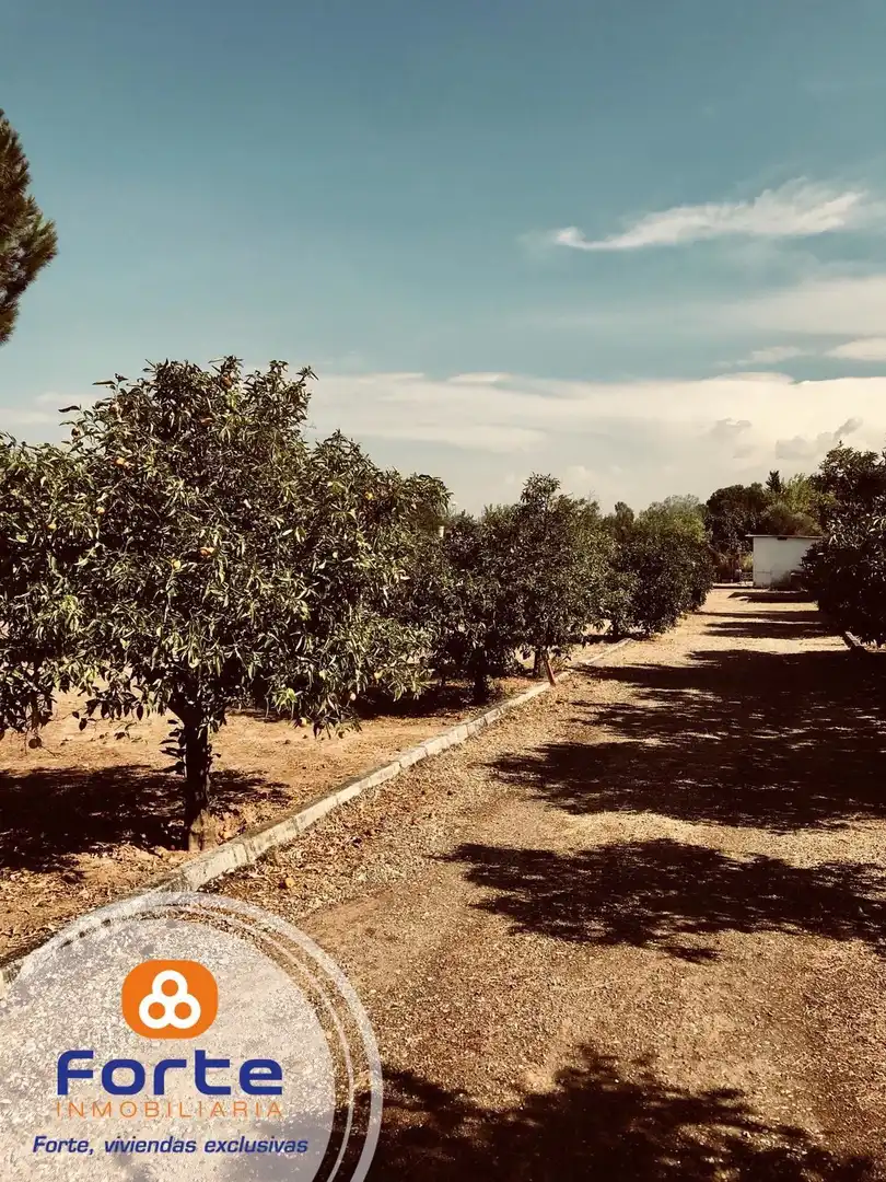 Terreny rústic en venda a Almodóvar del Río, imagen 4