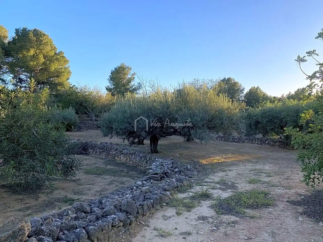Terrain rustique à vendre à Baldiras, imagen 8