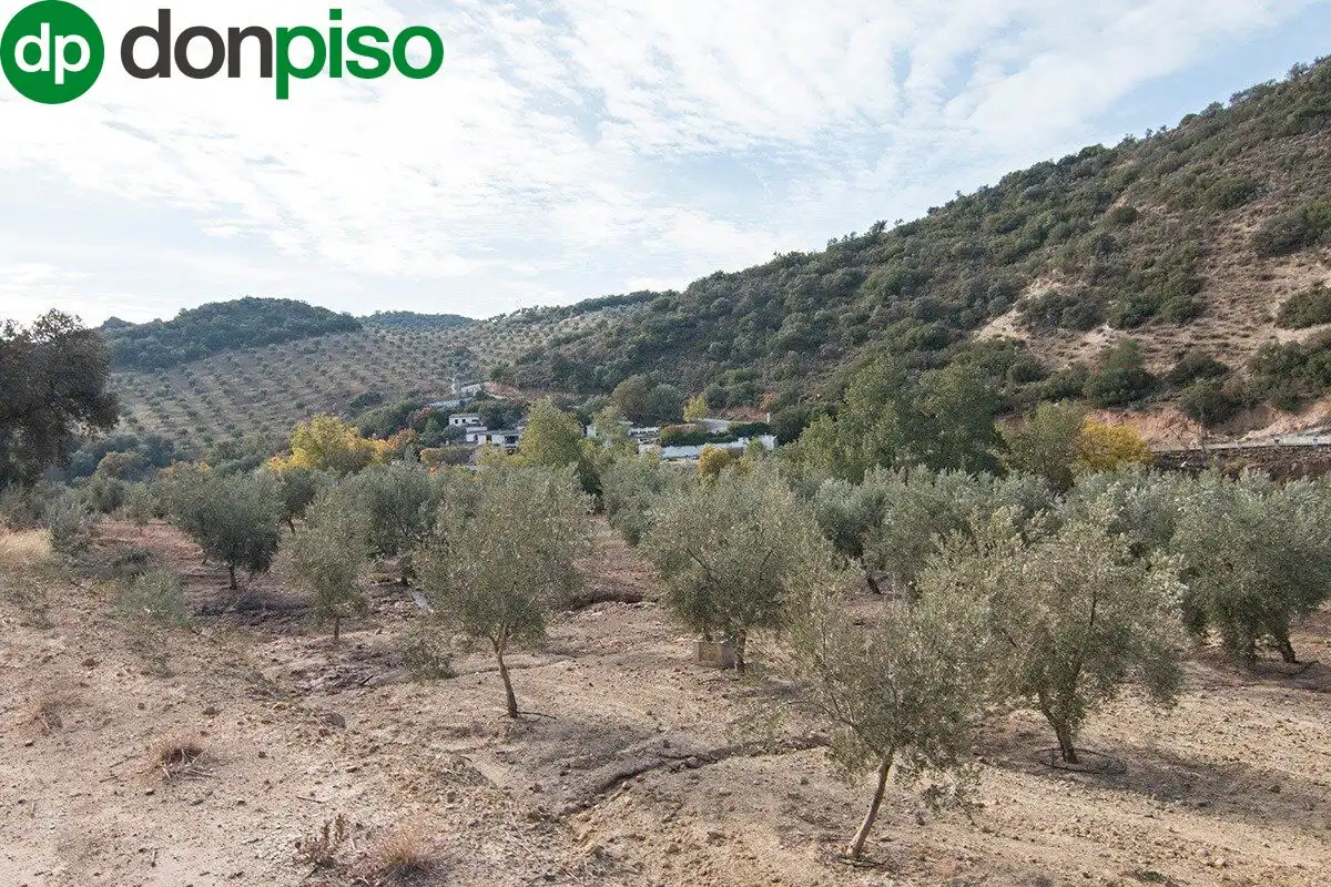 Casa rústica en venda a CORTIJO LA BARRAGANA, imagen 36