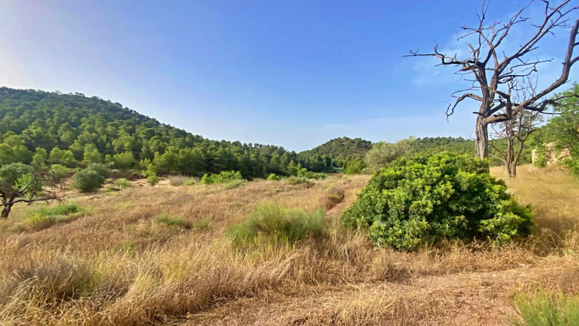 Country homes for sale in Totana