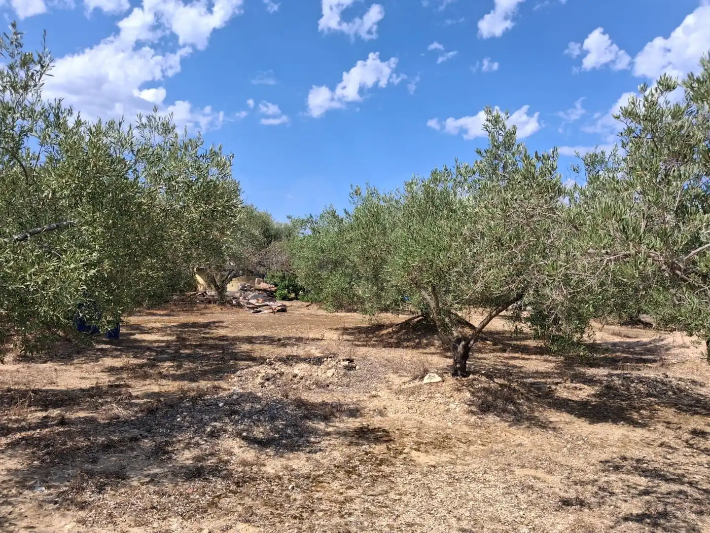 Terrain rustique à vendre à El Perelló, imagen 18