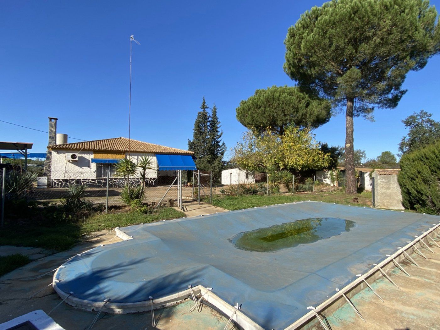 Swimming pool of House or chalet for sale in Valverde del Camino  with Heating and Swimming Pool
