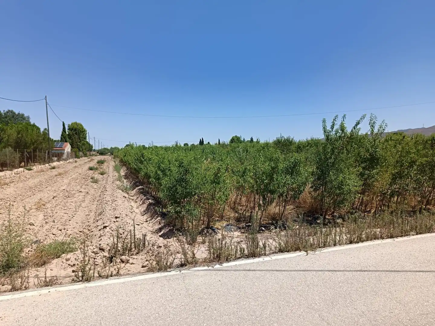 Grundstücke und Bauplätze zum Verkauf in Piñero, imagen 3