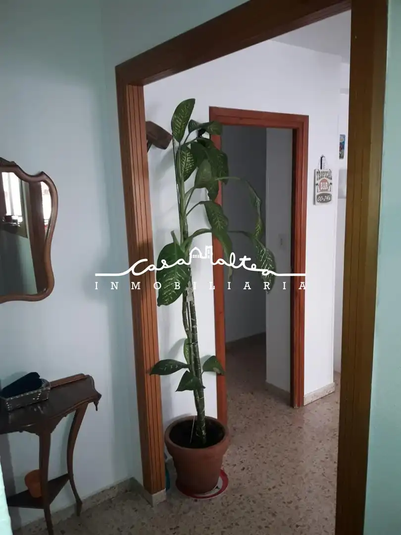 Appartement compact avec terrasse à vendre à Centro Urbano, imagen 19