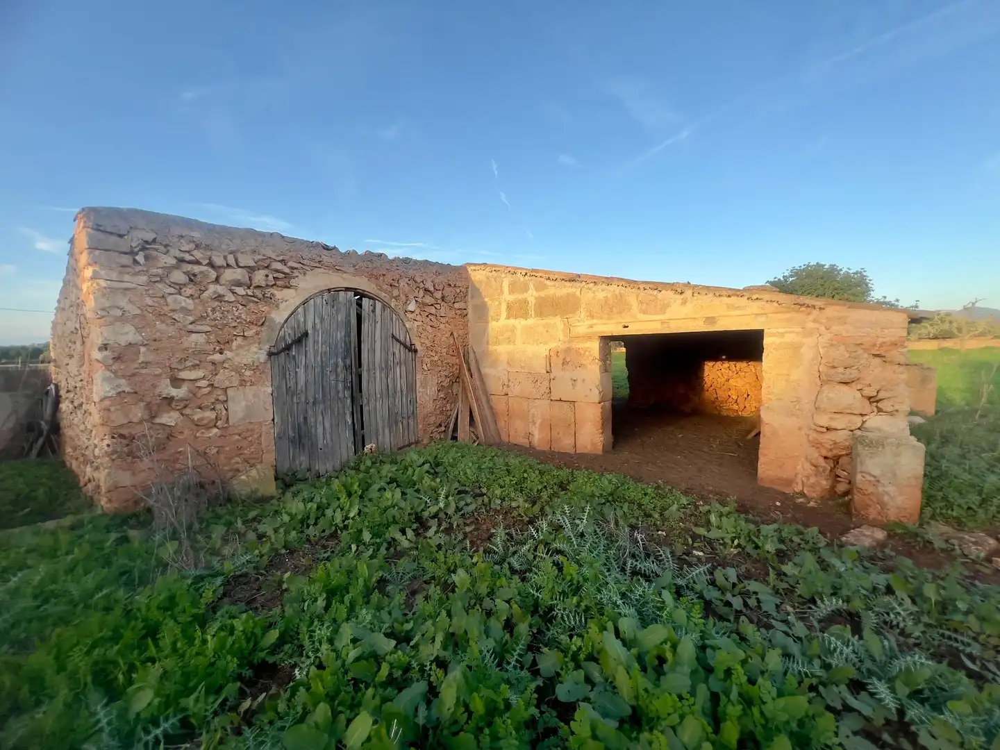 Rural land for sale in Cas Concos - Santanyí, imagen 15