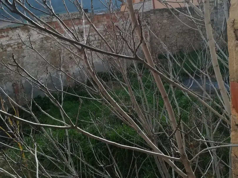 Maison mitoyenne avec jardin à vendre à Carretera de Blancafort 32, imagen 11