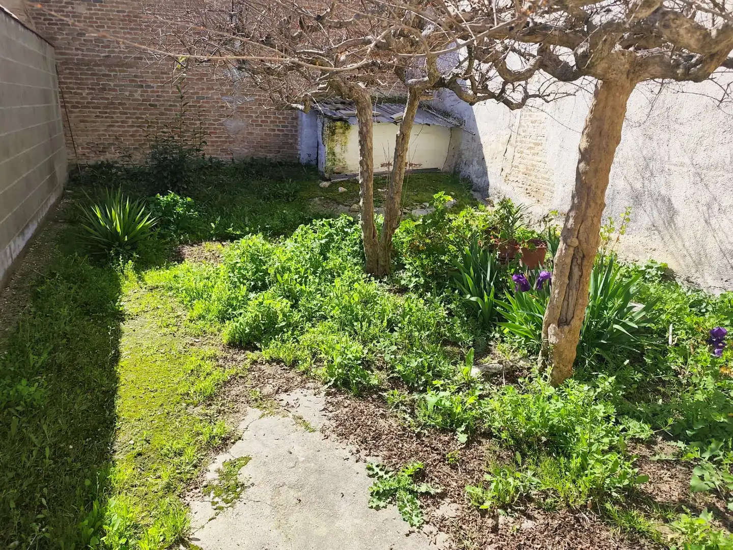 Jardín de Casa adosada en venta en Casarrubios del Monte con Calefacción, Jardín privado y Terraza
