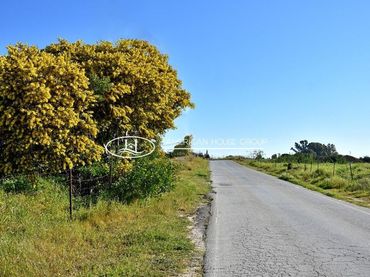 Terreni e lotti in vendita a Canarias