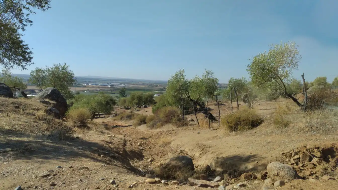 Land for sale in Calle Camino Sierra de la Cruz, 9, Lora del Río