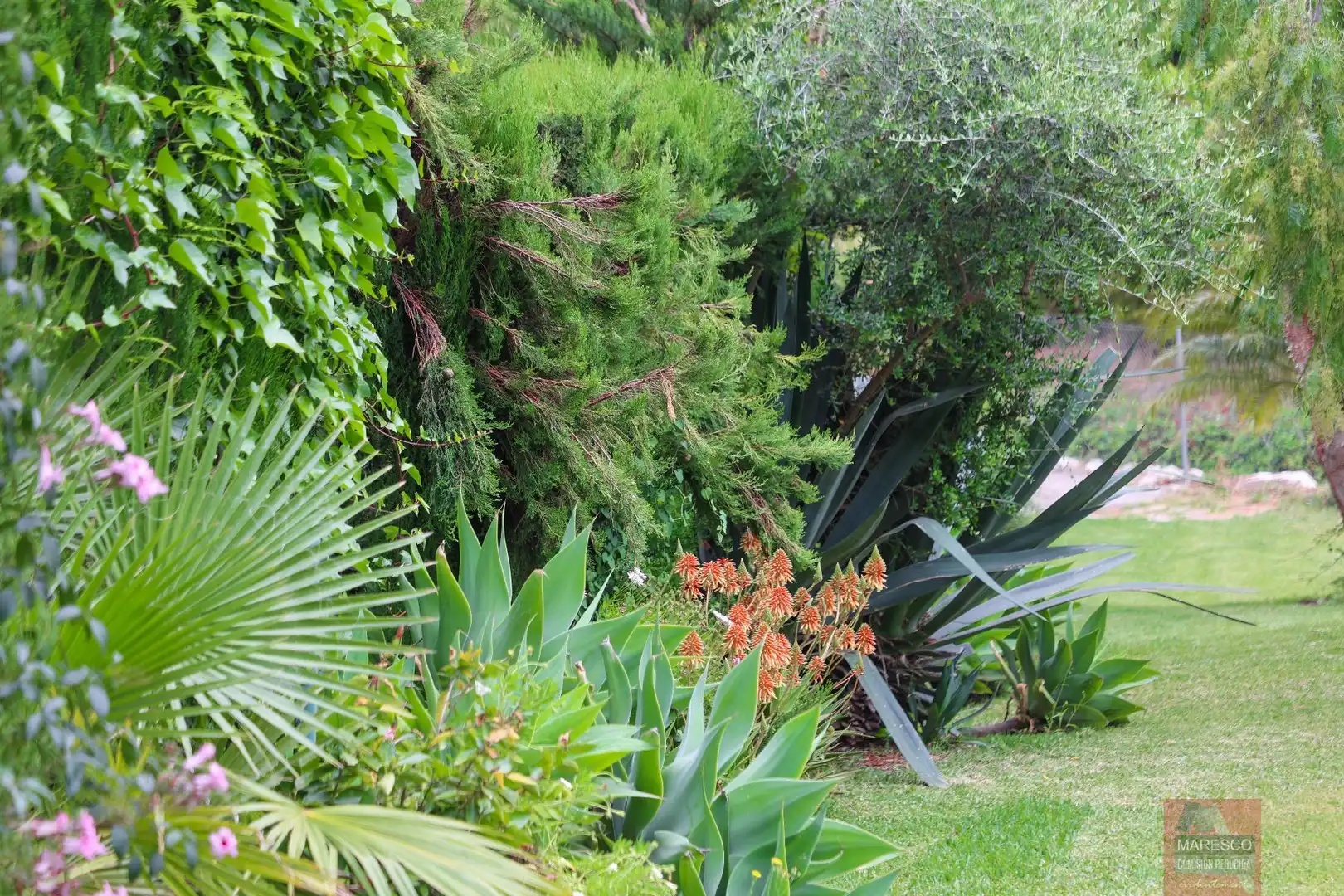 Maison mitoyenne avec terrasse à vendre à de la sierrezuela, imagen 43
