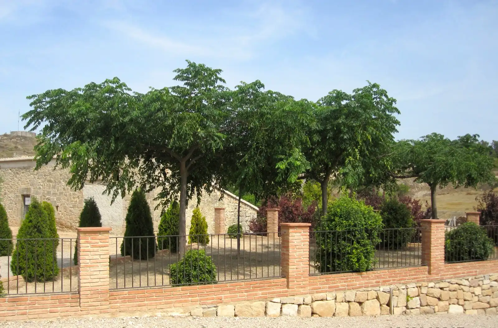 Terreno rústico en venta en Vallbona de Les Monges, imagen 46