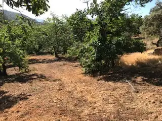 Terreni e lotti in vendita a Cortegana, imagen 4