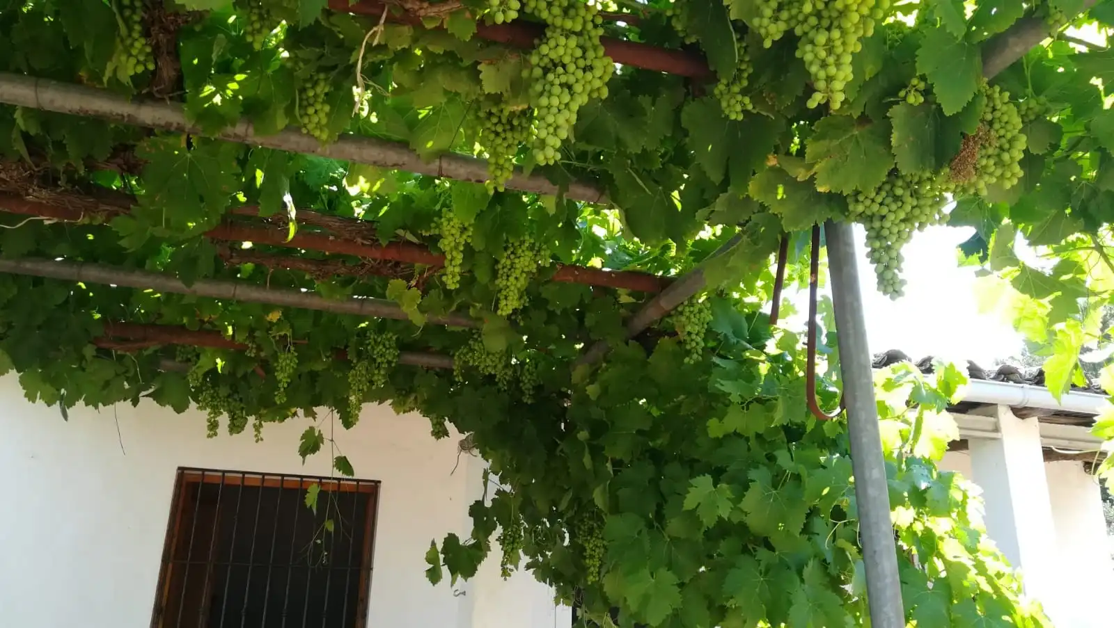 Jardín de Casa o chalet en venta en Puerto Moral con Jardín privado, Terraza y Trastero