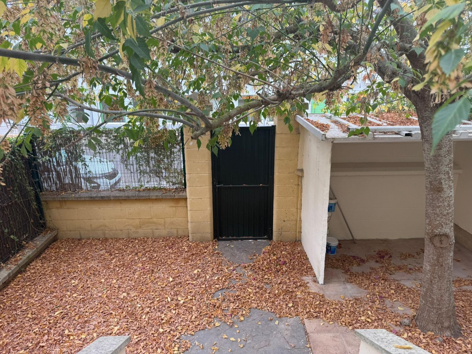 Vista exterior de Casa adosada en venta en Chiclana de la Frontera
