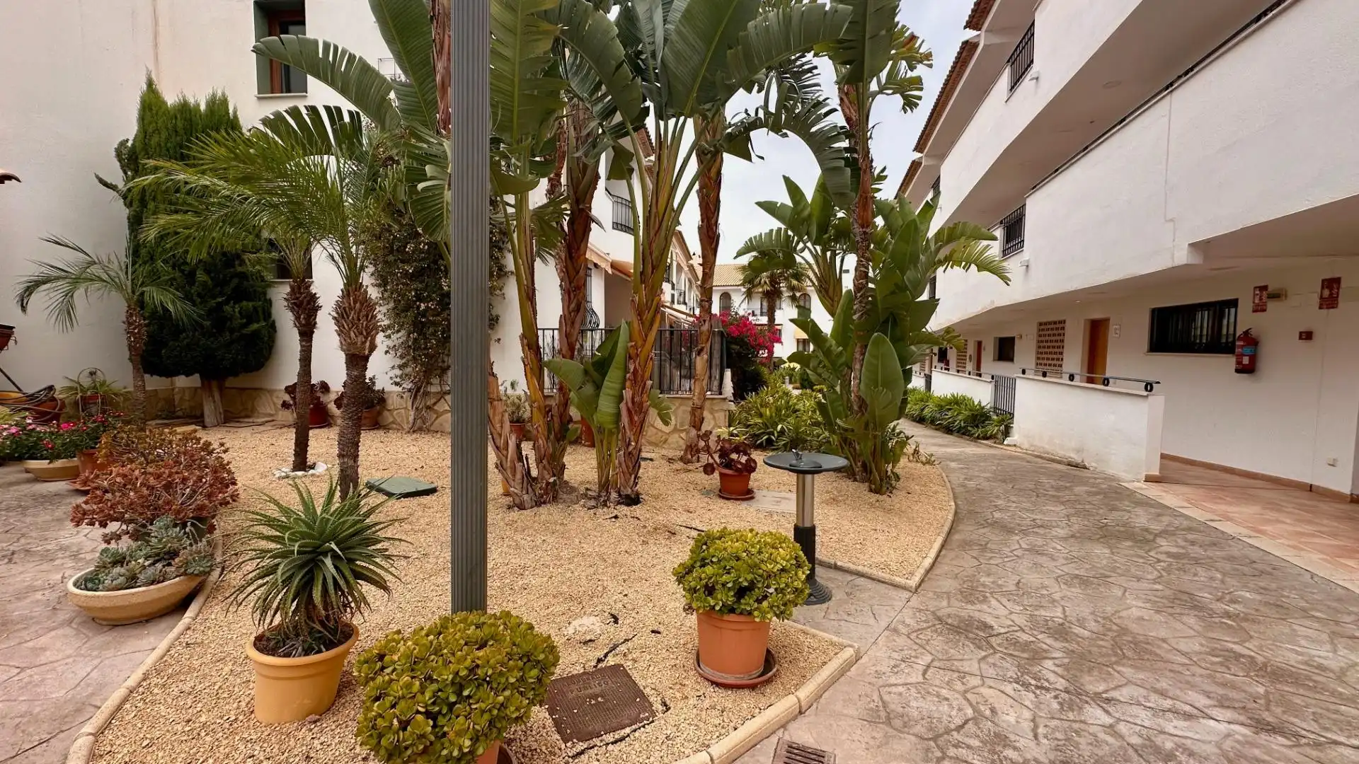 Apartament amb piscina de lloguer a Calle MANISES, imagen 23