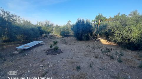 Foto 3 de Casa adosada en venda a Carrer Santa Teresa de Jesús, Secà de Sant Pere, Lleida