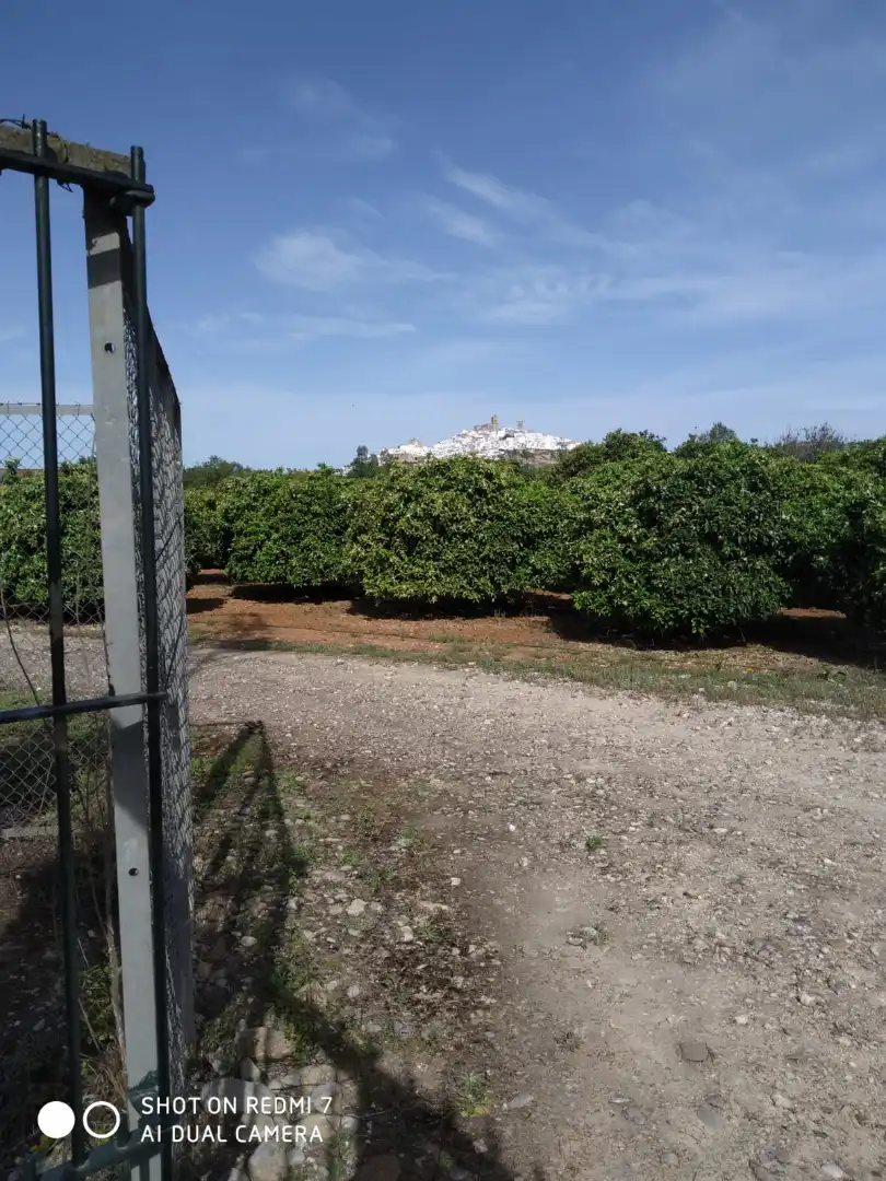 Terreny rústic en venda a Arcos de la Frontera, imagen 18