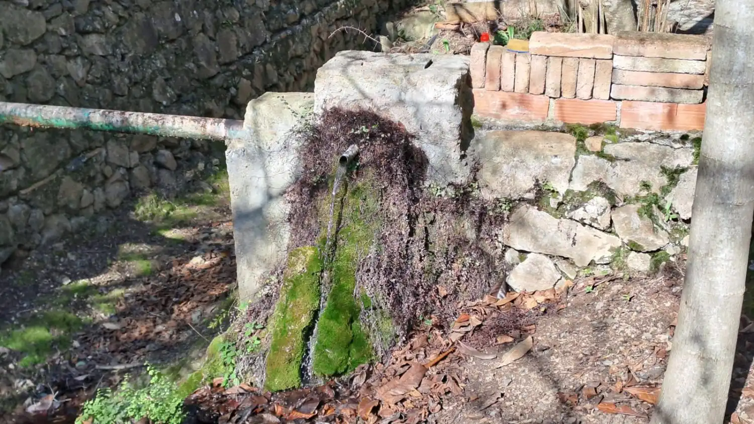 Jardí de Finca rústica en venda en Castellvell del Camp
