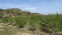 Land for sale in Maella