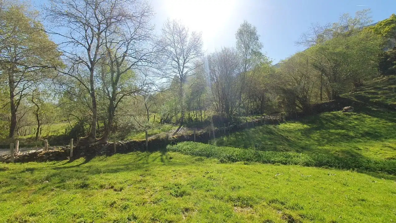 Finca rústica en venta en Llanes