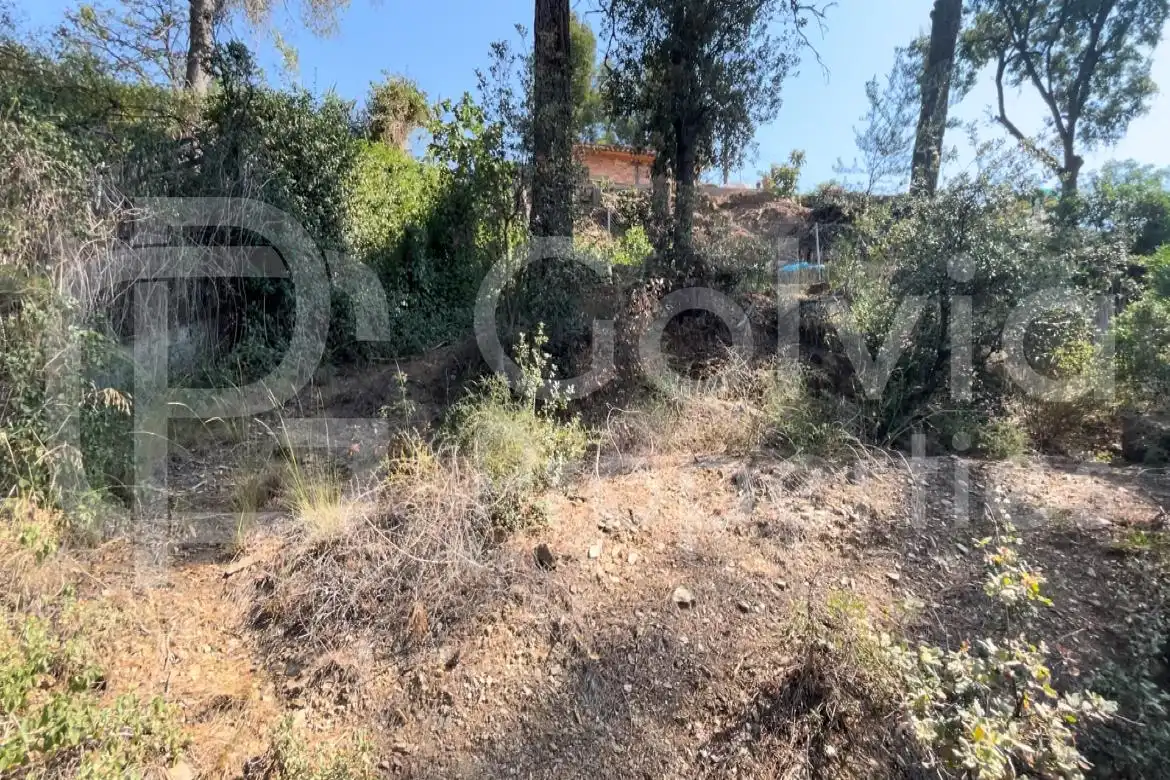 Lands and plots for sale in Carrer de l'Eucaliptus, imagen 6