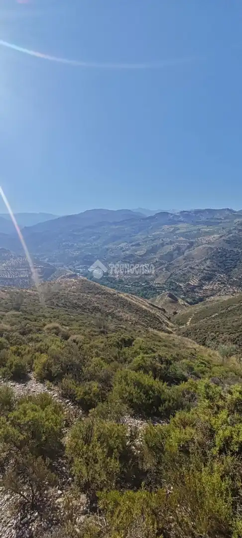 Rustikales Grundstück zum Verkauf in Pinos Genil, imagen 14