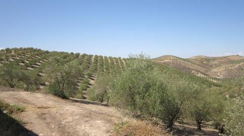 Photo 5 of Land for sale in Paraje Villar de Don Lain, Jauja, Córdoba