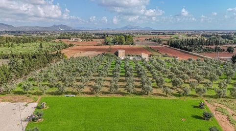 Foto 4 de Casa o chalet de alquiler en Muro - Carrer del Pare Alzina, Muro, Illes Balears