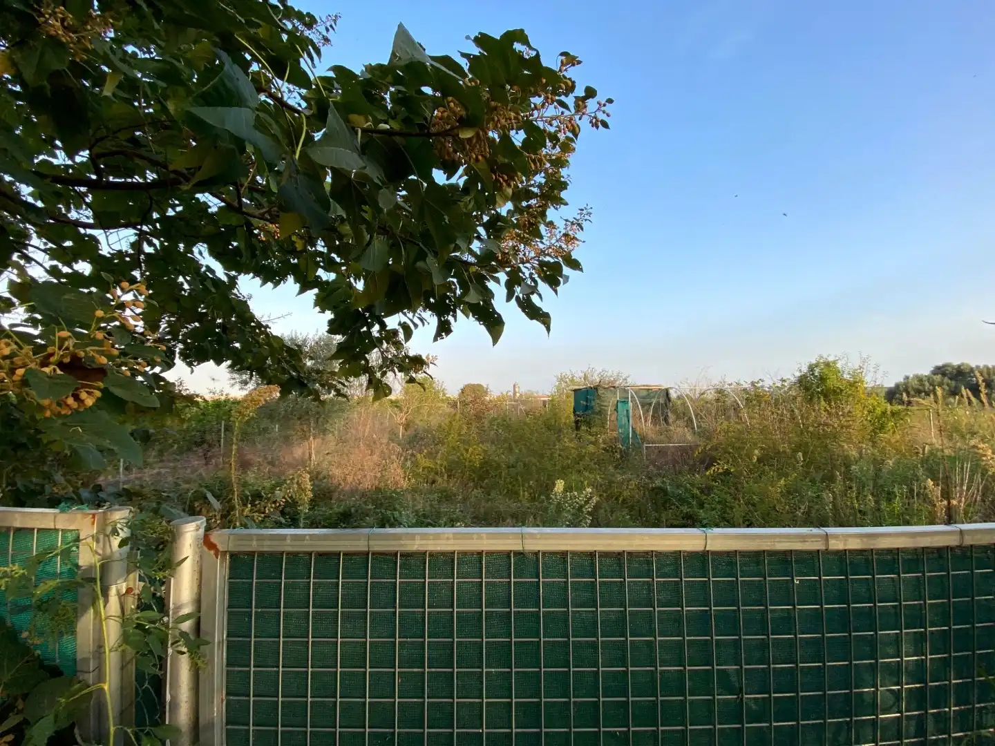 Jardín de Terreno en venta en Vila-real