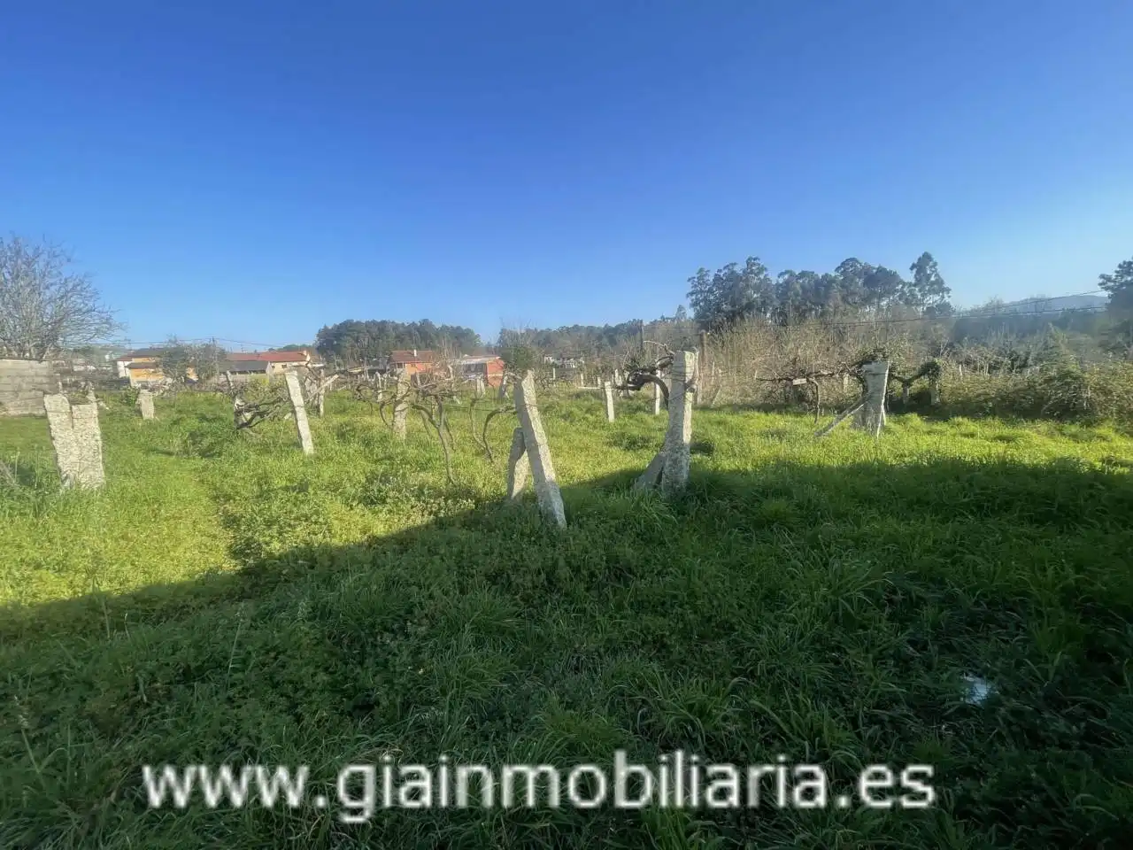 Casa con jardín en venta en Calle Xestal, imagen 39