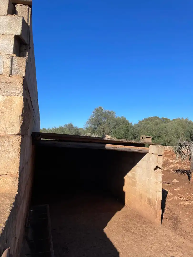 Nau industrial en venda a Carrer de Sineu, 8, Sineu