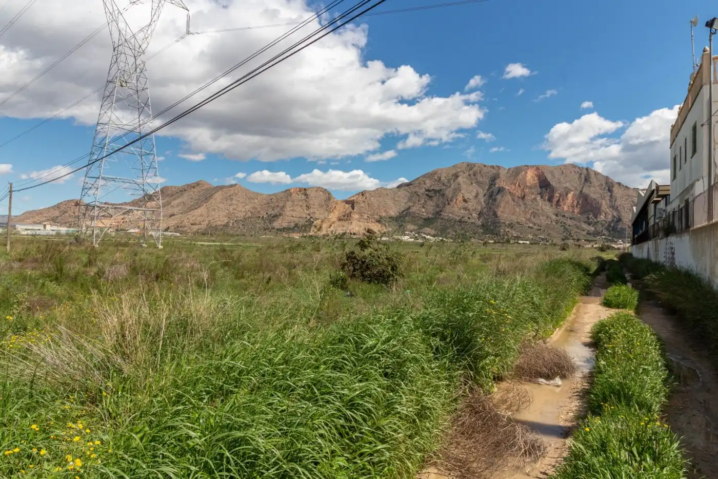 Rural land for sale in Montepinar - La Aparecida - Raiguero, imagen 6