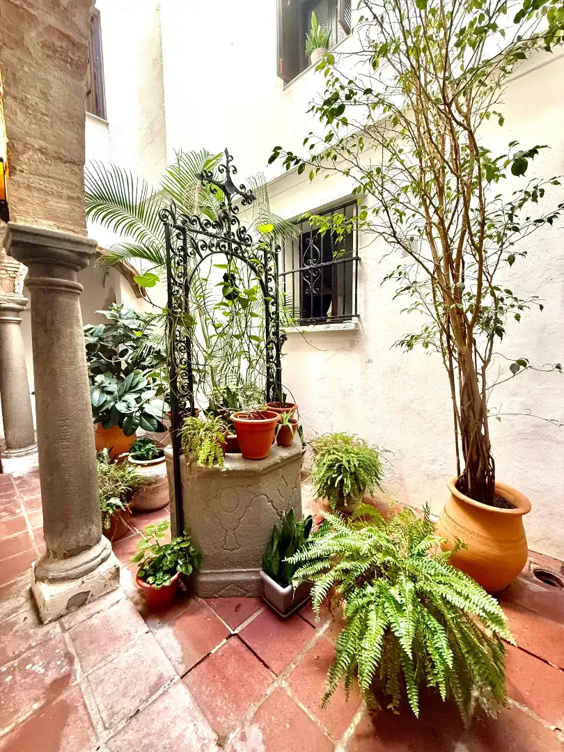Garden of Attic for sale in Tarifa  with Air Conditioner, Terrace and Furnished