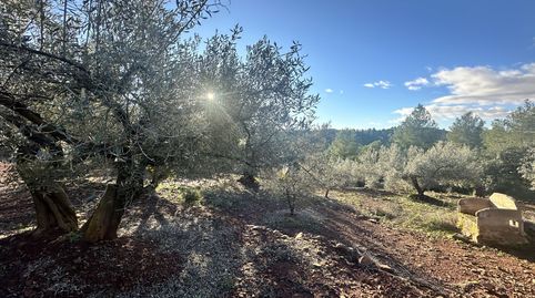 Terreno Rústico en venta en Soneja., immagine 5