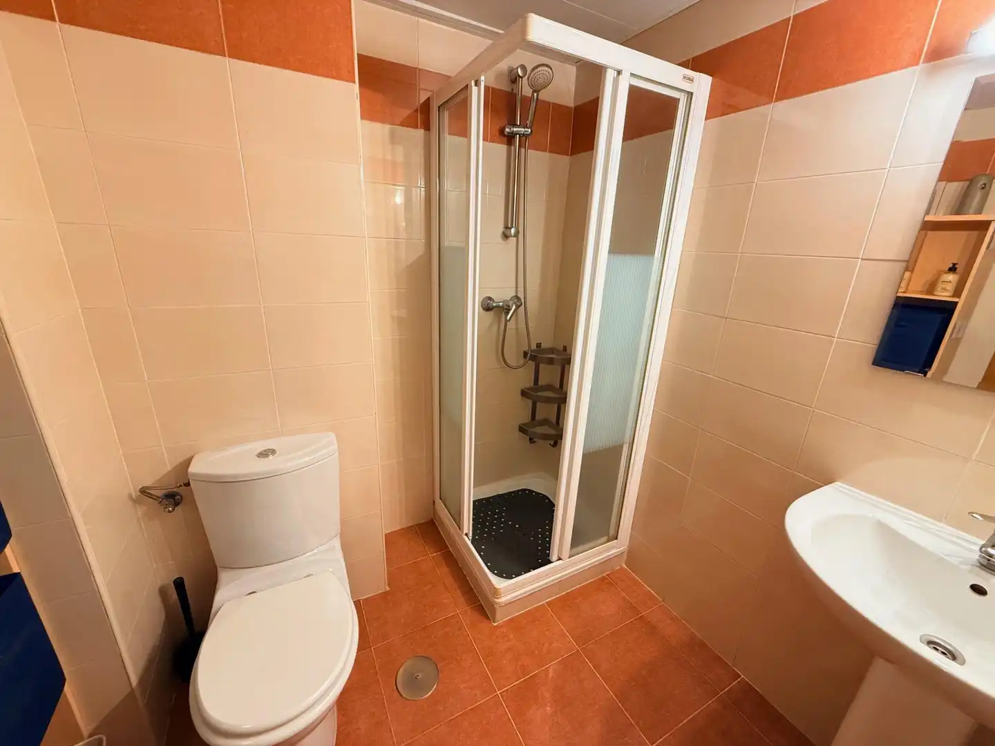 Baño de Piso para compartir en Madrid