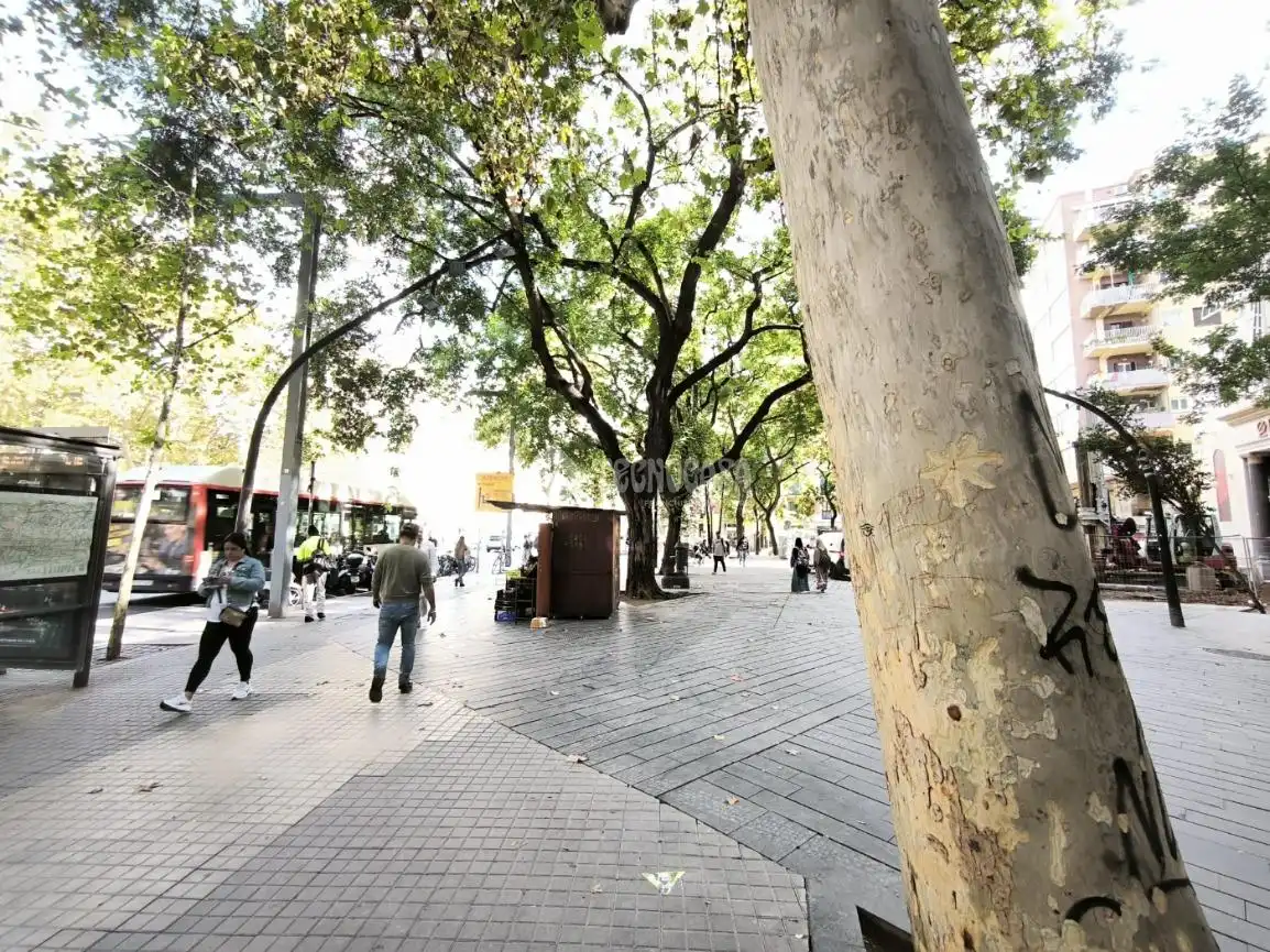 Vista exterior de Piso en venta en Barcelona