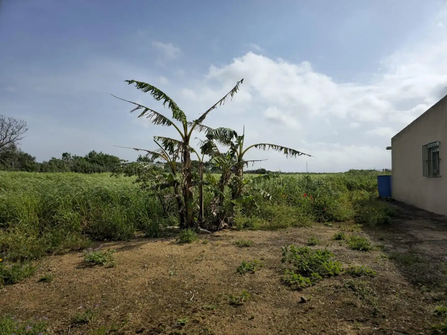 Finca rústica en venta en Puerto Real con Trastero