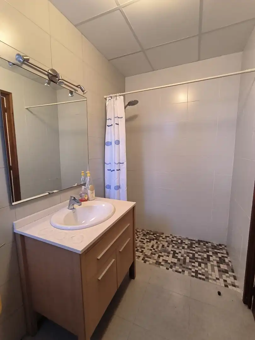 Bany de Apartament en venda en Alcanar amb Aire condicionat, Jardí privat i Terrassa