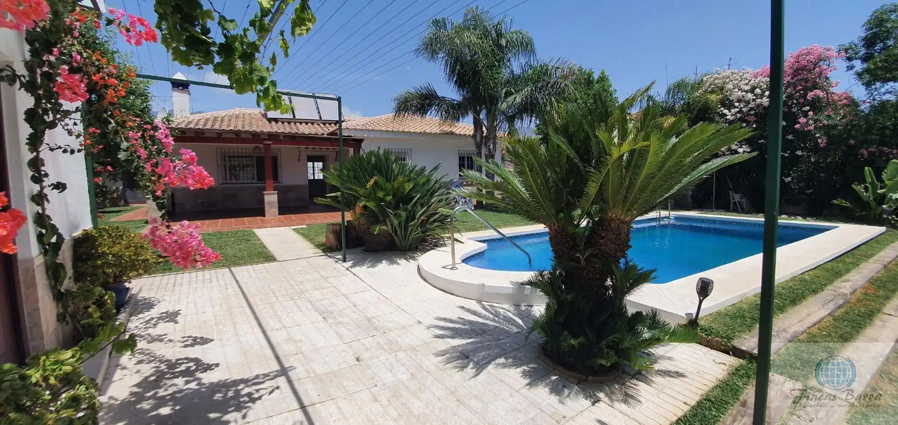 Jardí de Casa o xalet de lloguer en Mijas amb Terrassa i Piscina