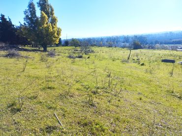 Terreny residencial en venda a Calle Helechos