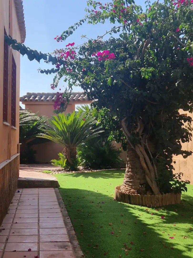 Xalet amb jardí en venda a El Juncal - Vallealto, imagen 3