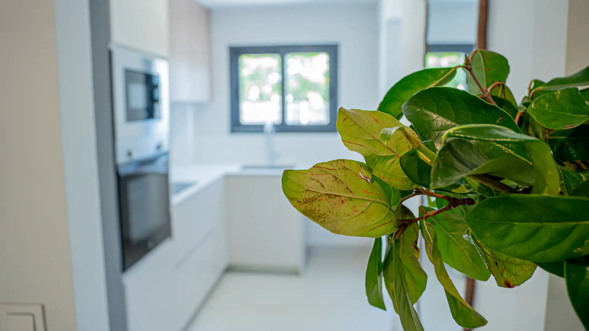 Kitchen of Attic for sale in Jávea / Xàbia  with Air Conditioner, Terrace and Storage room