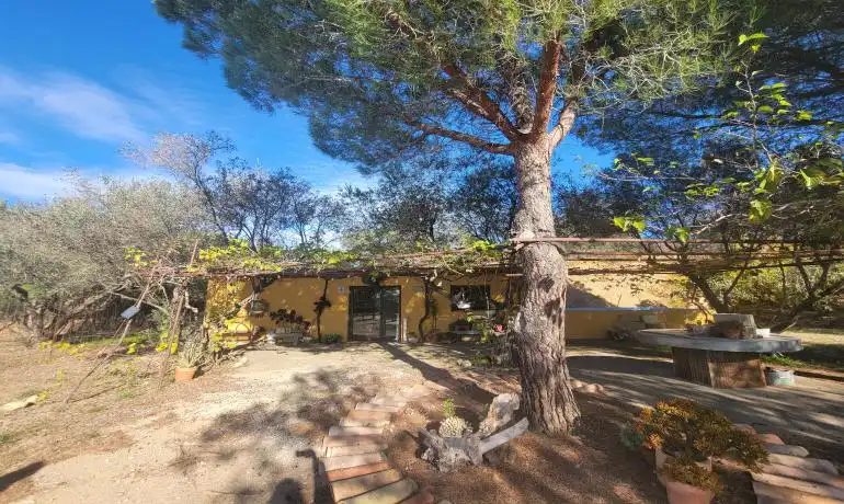 Lands and plots for sale in Garriguella, imagen 6