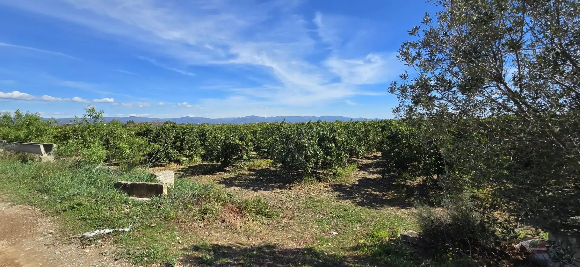 Terrain rustique à vendre à Santa Bárbara, imagen 3