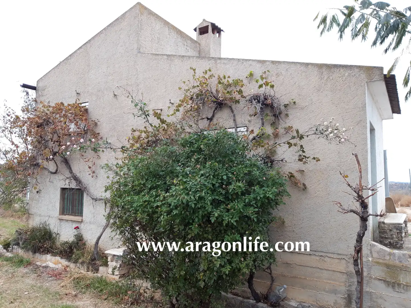 Garten von Country house zum Verkauf in Maella mit Privatgarten