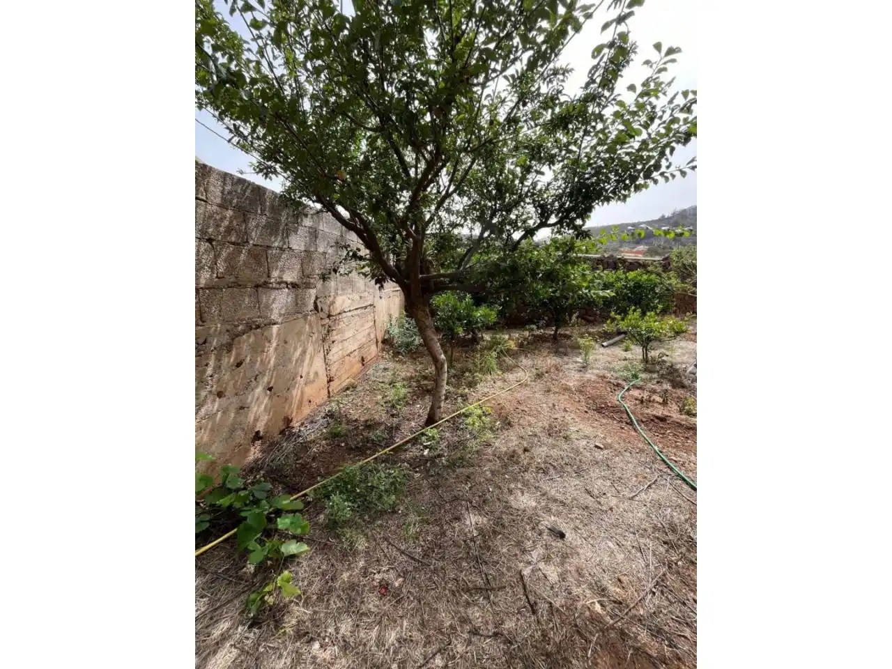 Country house with garden for sale in Plaza el Socorro, imagen 18