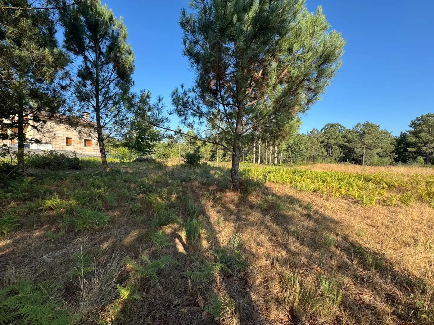 Terrenos y solares en venta en Lugar de Costeira, imagen 3