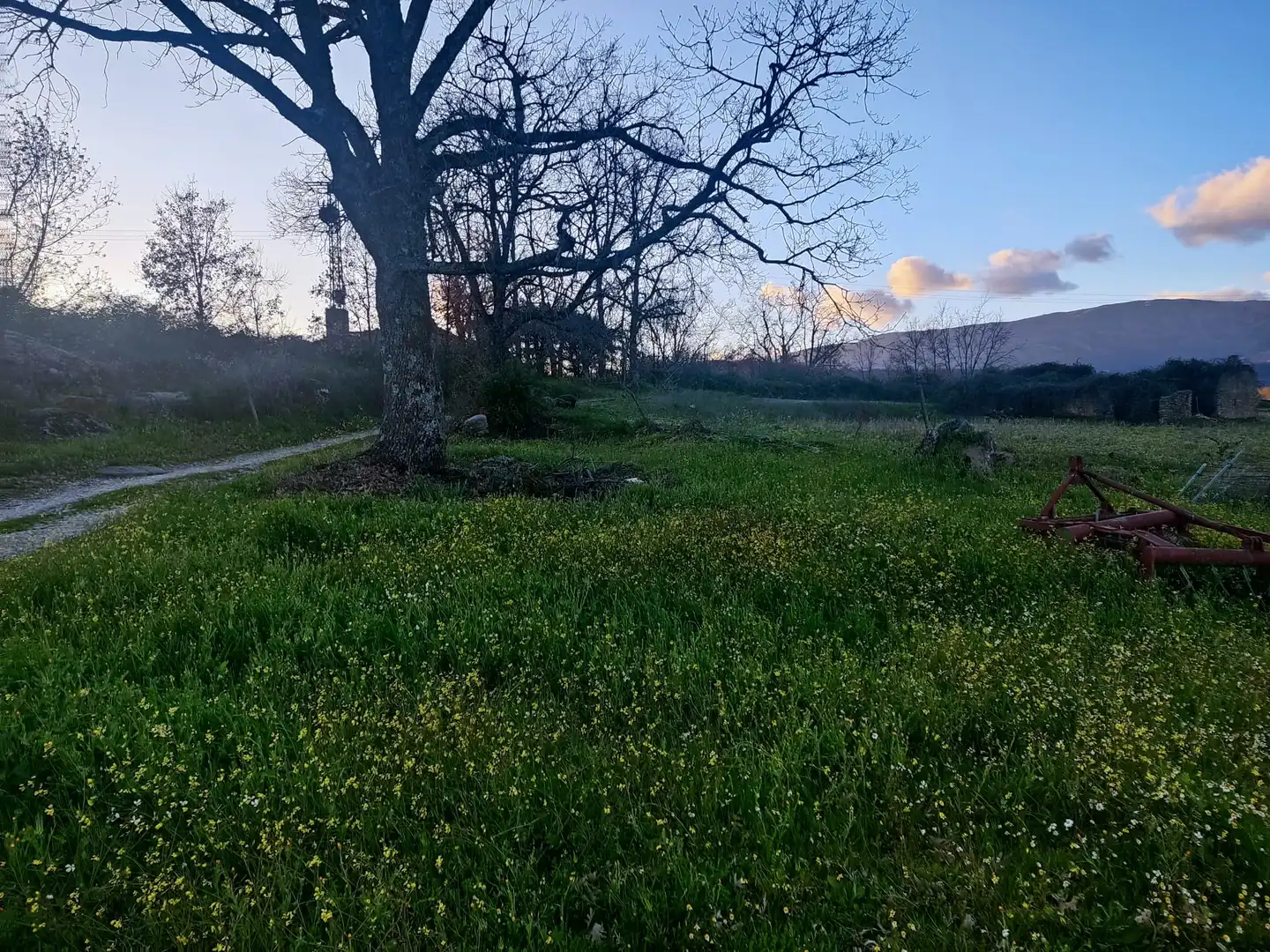 Terreni e lotti in vendita a Jarandilla de la Vera, imagen 4