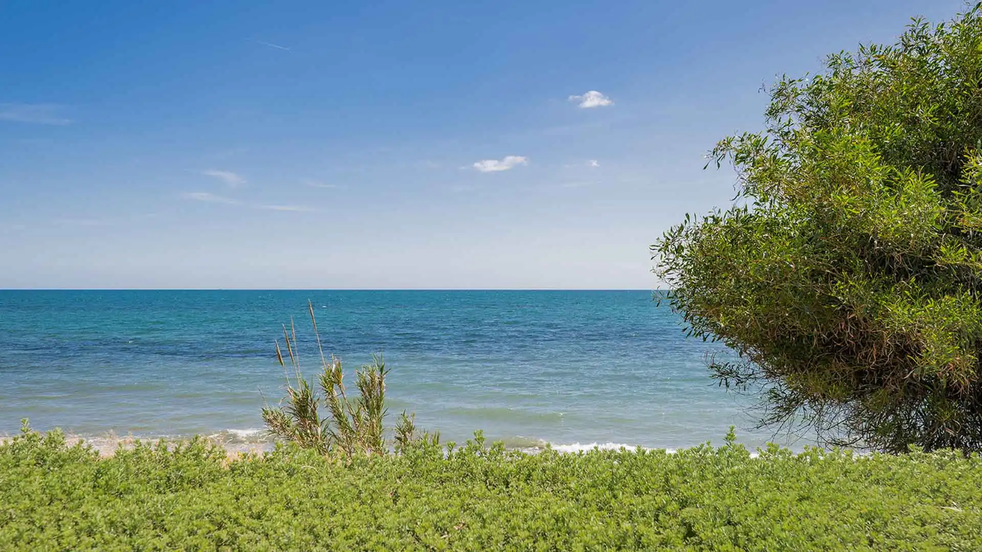Apartament amb piscina en venda a Punta Plata, imagen 23